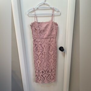 Bardot lace sheath dress in dusty pink size XS brand new with tag